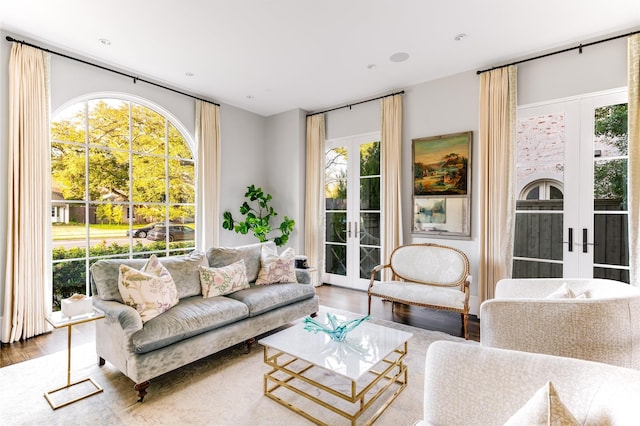 living area with french doors, a healthy amount of sunlight, and wood finished floors