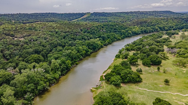 aerial view with a view of trees and a water view