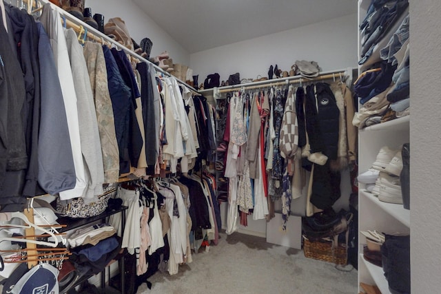 spacious closet featuring carpet