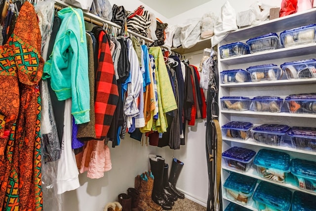 view of spacious closet