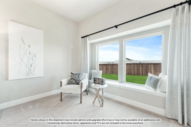 living area featuring baseboards and carpet floors