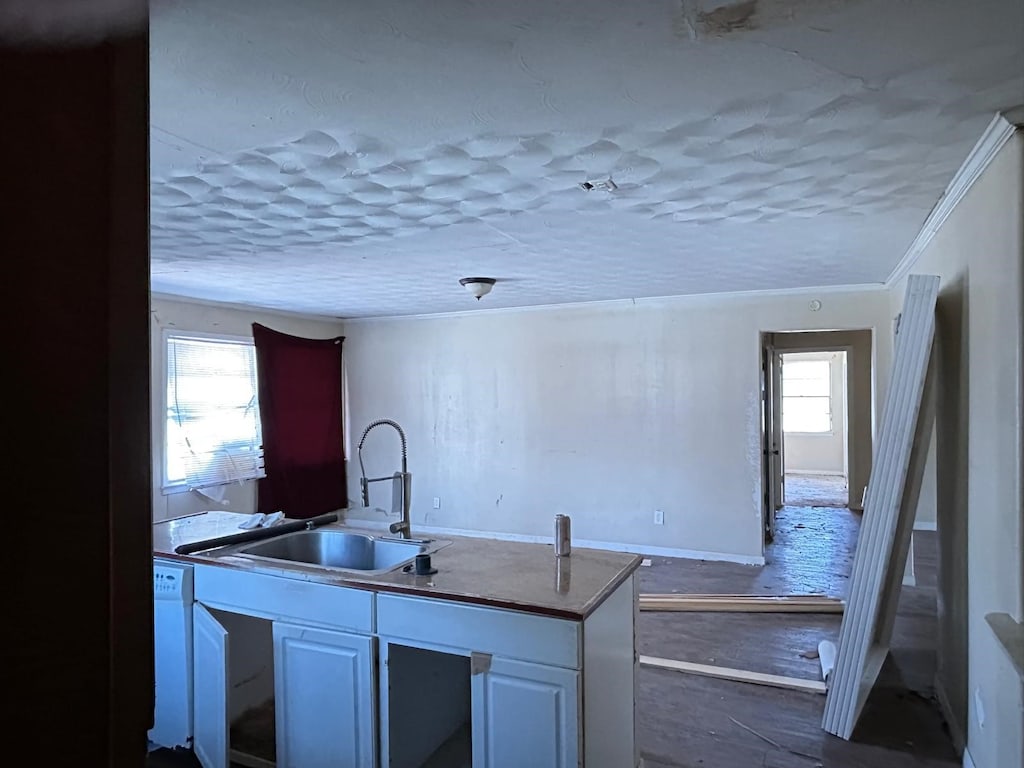 kitchen with dark wood-style floors, white dishwasher, ornamental molding, a sink, and a textured ceiling