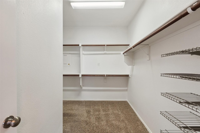 walk in closet with carpet