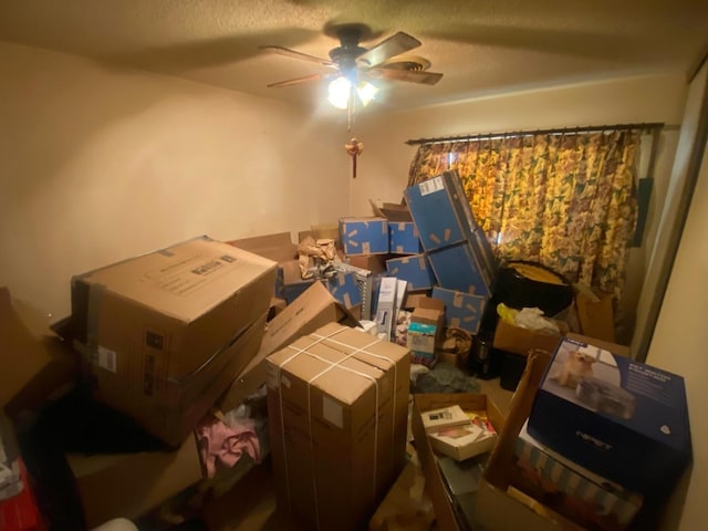 storage room featuring ceiling fan