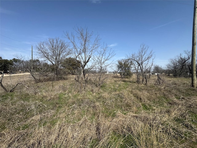 0000 Ringo Dr, Bridgeport TX, 76426 land for sale