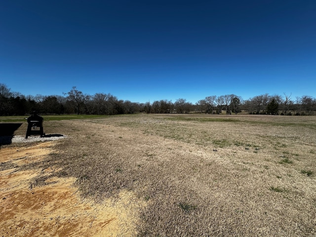 view of yard with a rural view