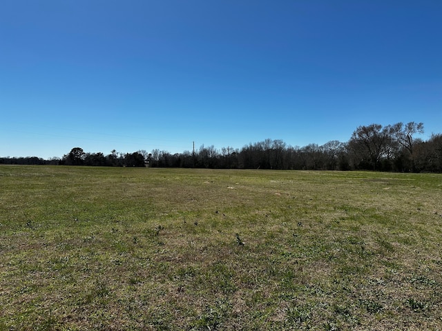 view of landscape featuring a rural view