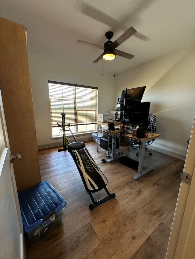 workout area with hardwood / wood-style floors, a ceiling fan, and baseboards