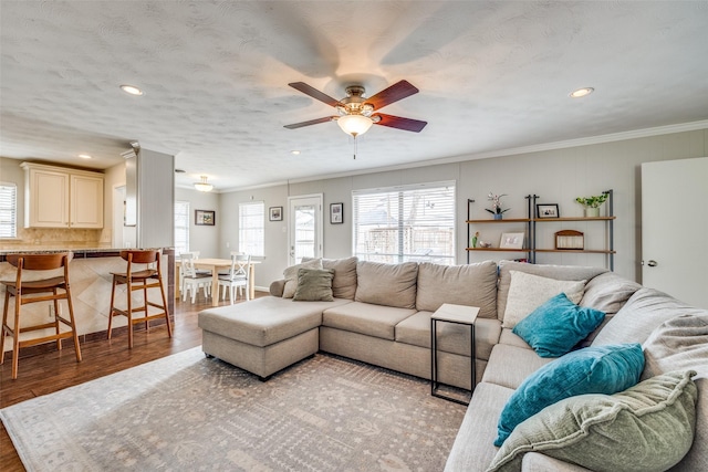 living room featuring plenty of natural light, ornamental molding, a ceiling fan, and wood finished floors