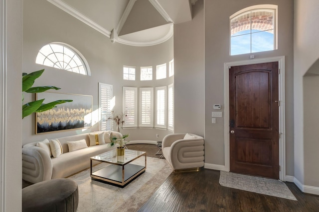 foyer entrance featuring baseboards, plenty of natural light, and wood finished floors