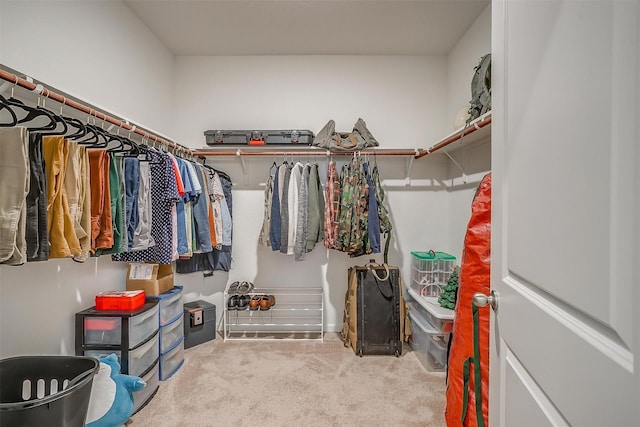 walk in closet featuring carpet flooring