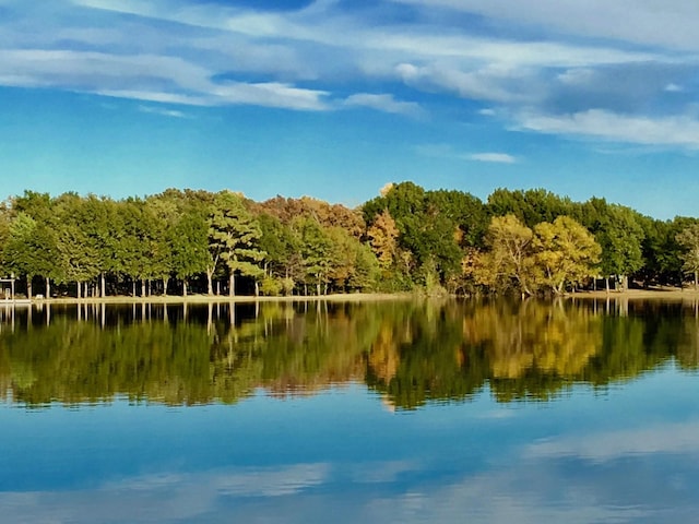 property view of water featuring a view of trees