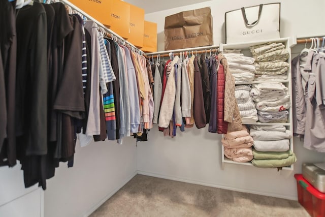 spacious closet with carpet floors