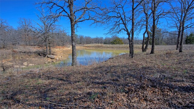 3246 Fm-1806, Montague TX, 76251 land for sale