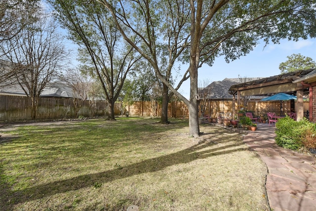 view of yard with a patio and a fenced backyard