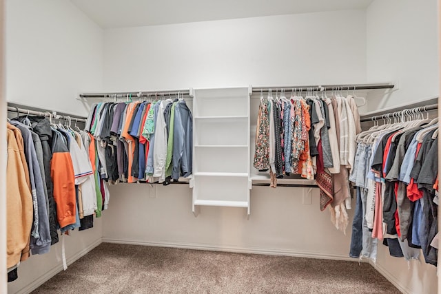 walk in closet with carpet floors