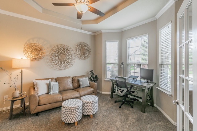5113 Vieques Ln, Fort Worth, TX 76244 - carpeted office space featuring baseboards, a raised ceiling, ceiling fan, and crown molding