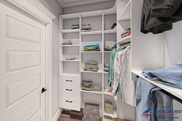 spacious closet featuring wood finished floors