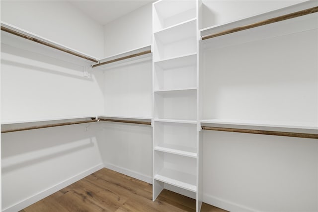 walk in closet featuring wood finished floors