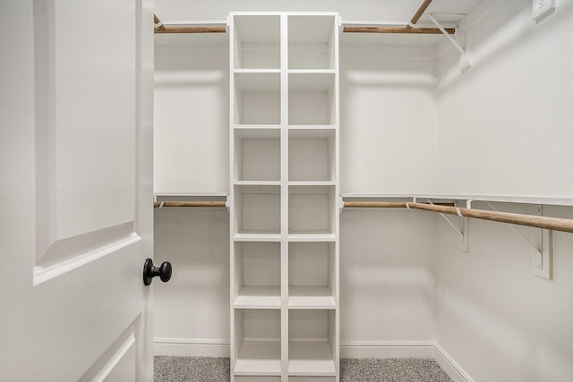 spacious closet featuring carpet floors