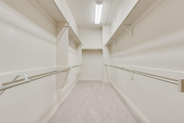 spacious closet featuring carpet