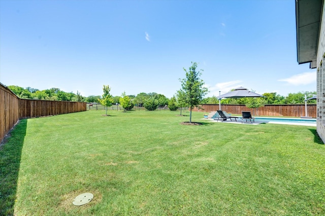 view of yard featuring a patio and a fenced backyard