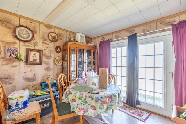 dining area featuring plenty of natural light