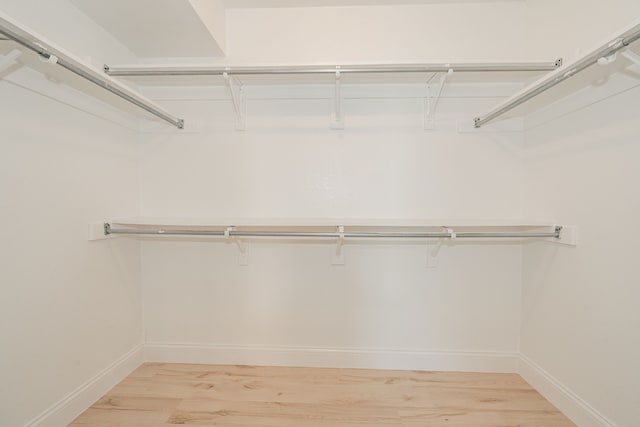 spacious closet featuring light wood-type flooring