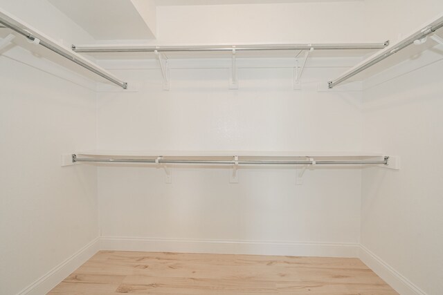 spacious closet featuring light wood-style flooring