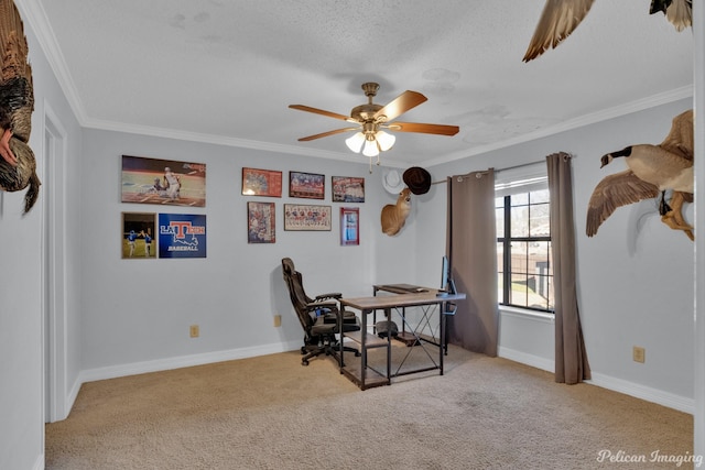 carpeted office featuring ceiling fan, a textured ceiling, crown molding, and baseboards