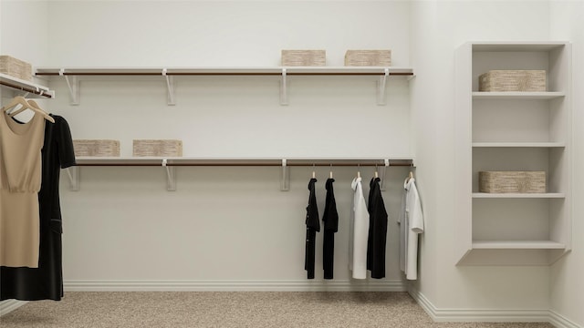 spacious closet featuring carpet floors