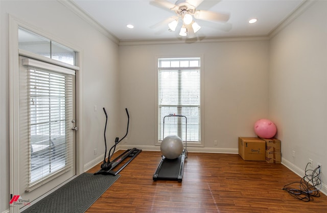 exercise room featuring dark wood finished floors, crown molding, plenty of natural light, and baseboards