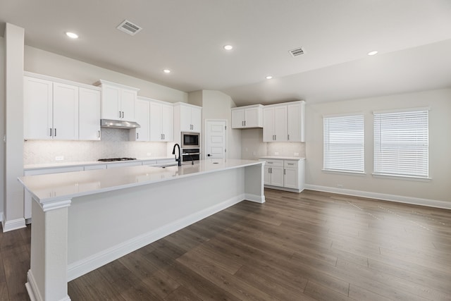 kitchen with visible vents, under cabinet range hood, appliances with stainless steel finishes, a large island, and a sink