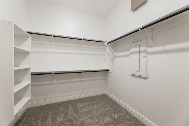 walk in closet featuring electric panel and carpet flooring