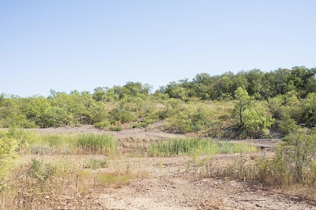 Listing photo 2 for tbd County Road 149, Brownwood TX 76801