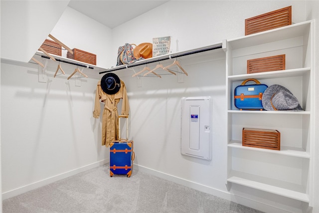 walk in closet featuring carpet flooring