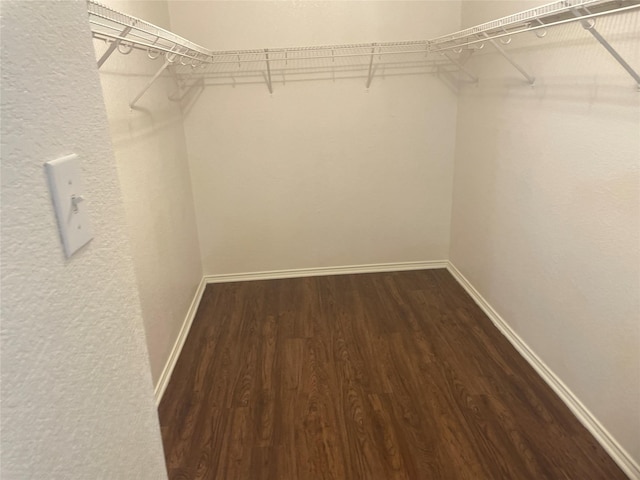 spacious closet featuring wood finished floors