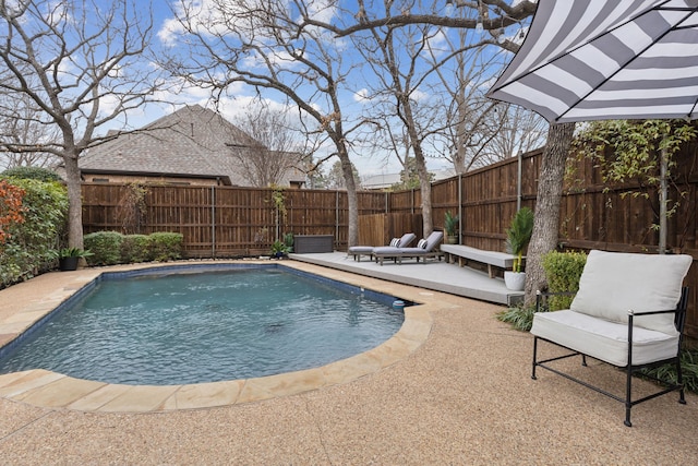 view of swimming pool featuring a patio area, a fenced backyard, and a fenced in pool