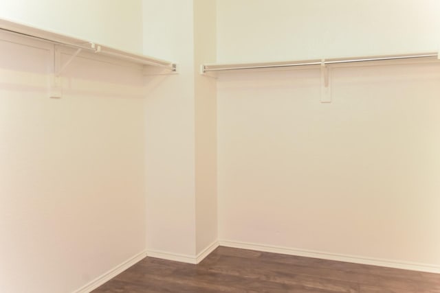 spacious closet featuring dark wood-type flooring