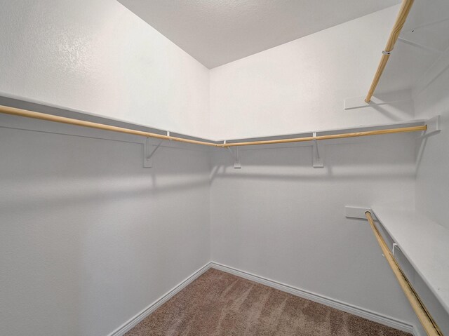 walk in closet with carpet