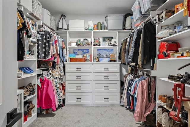 spacious closet with carpet flooring