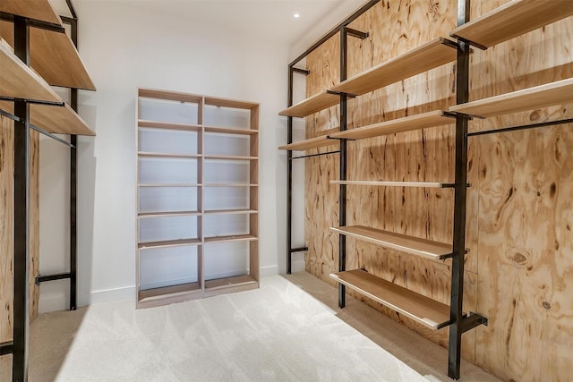 spacious closet featuring carpet floors