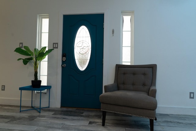 foyer entrance featuring plenty of natural light, baseboards, and wood finished floors