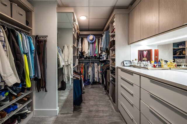 walk in closet with dark colored carpet and a drop ceiling
