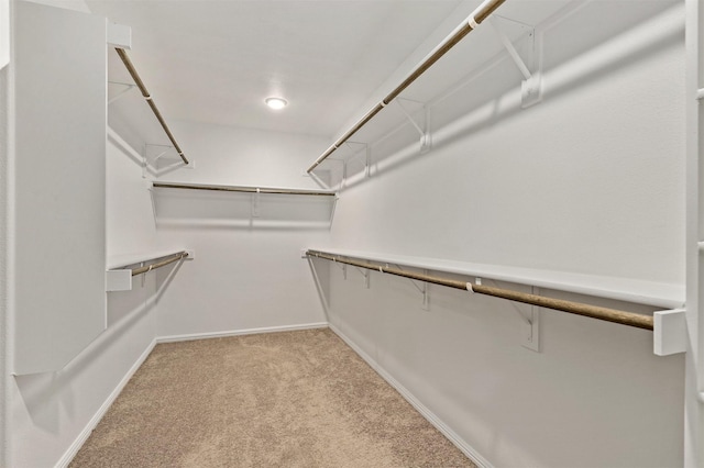 spacious closet featuring light colored carpet