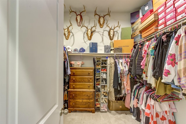 walk in closet featuring carpet floors