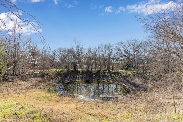 view of landscape with a water view