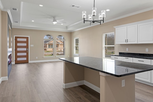 kitchen featuring a raised ceiling, a healthy amount of sunlight, and visible vents