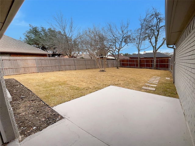 view of yard featuring a patio area and a fenced backyard