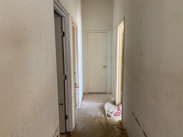 hallway featuring carpet flooring